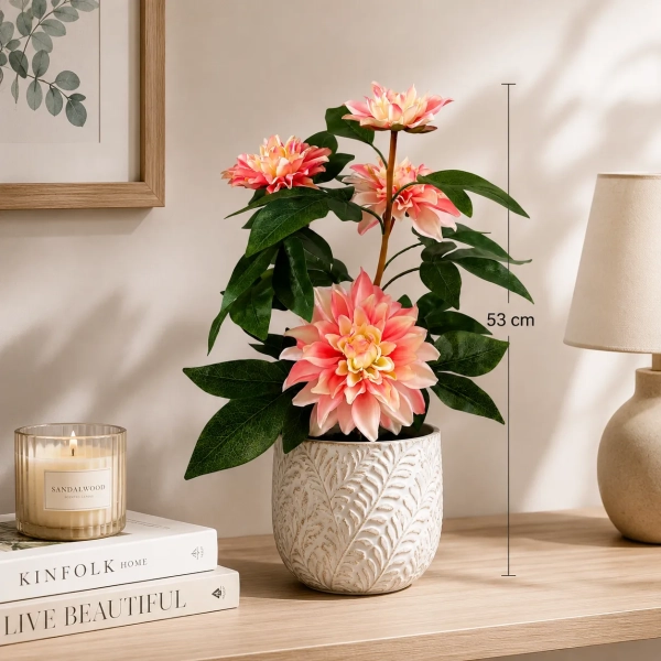 DALIA W DONICZCE 53CM